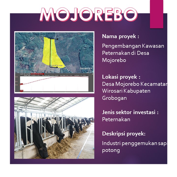 MOJOREBO